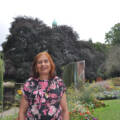 Anila Sisodia
